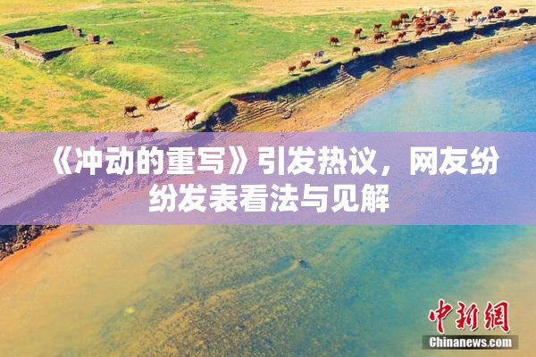 《冲动的重写》引发热议，网友纷纷发表看法与见解
