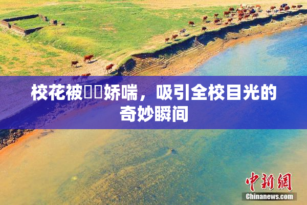 校花被❌‌娇喘，吸引全校目光的奇妙瞬间