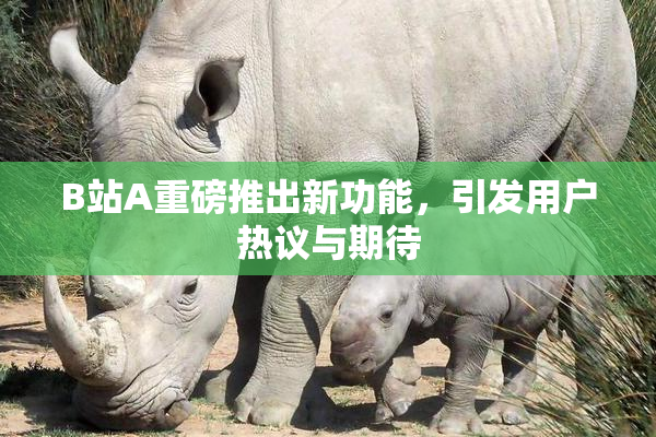 B站A重磅推出新功能，引发用户热议与期待
