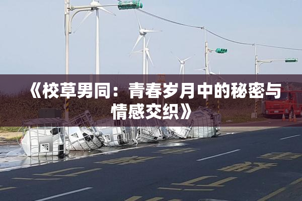 《校草男同：青春岁月中的秘密与情感交织》