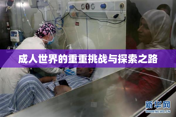 成人世界的重重挑战与探索之路