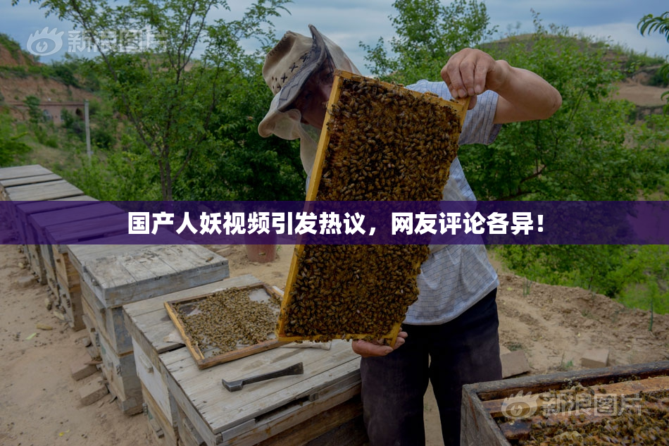 国产人妖视频引发热议，网友评论各异！
