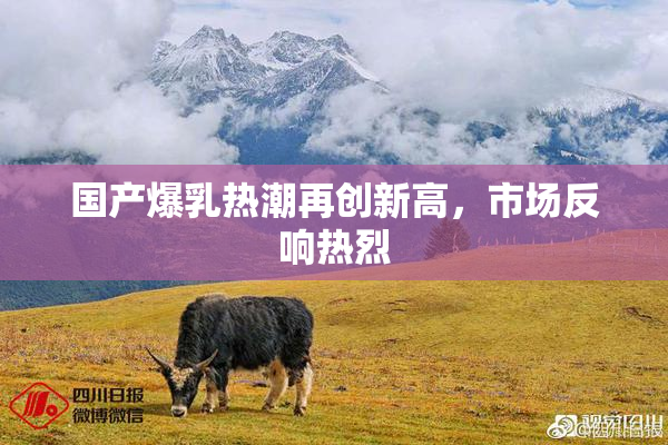国产爆乳热潮再创新高，市场反响热烈