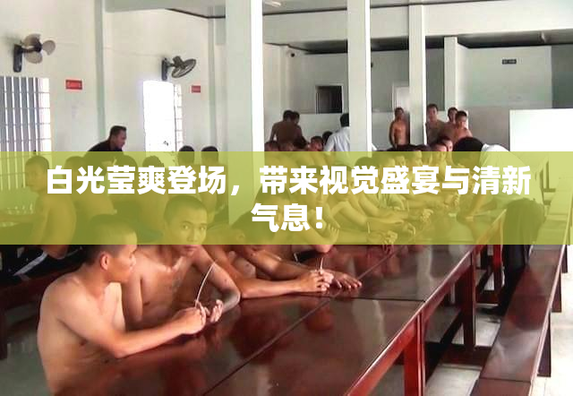 白光莹爽登场，带来视觉盛宴与清新气息！