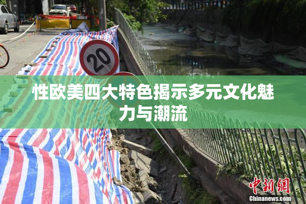 性欧美四大特色揭示多元文化魅力与潮流