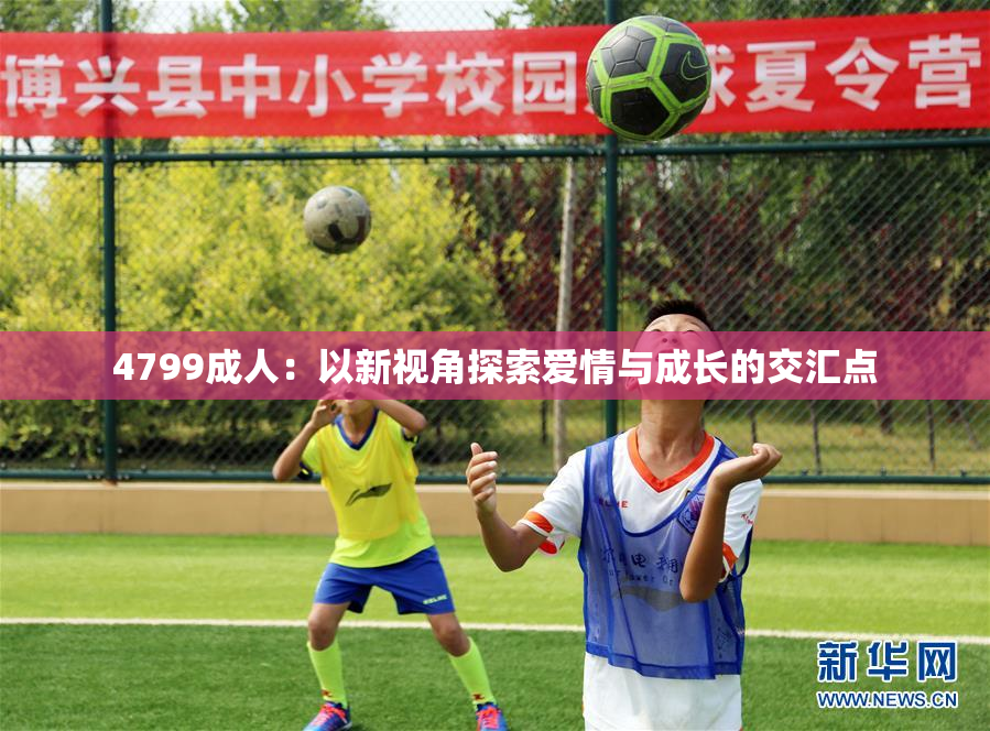 4799成人：以新视角探索爱情与成长的交汇点