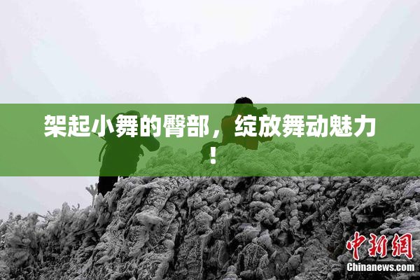 架起小舞的臀部，绽放舞动魅力！