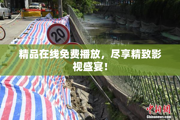 精品在线免费播放，尽享精致影视盛宴！