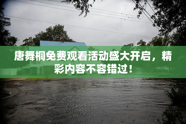唐舞桐免费观看活动盛大开启，精彩内容不容错过！