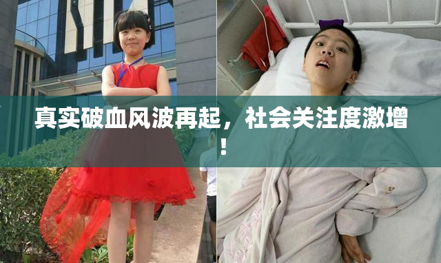 真实破血风波再起，社会关注度激增！