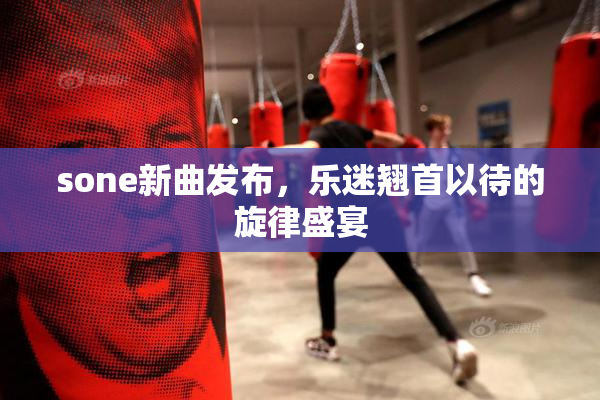 sone新曲发布，乐迷翘首以待的旋律盛宴