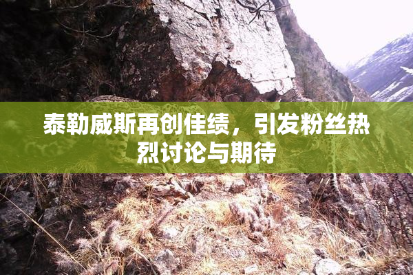 泰勒威斯再创佳绩，引发粉丝热烈讨论与期待