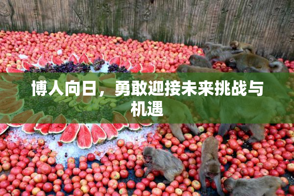 博人向日，勇敢迎接未来挑战与机遇