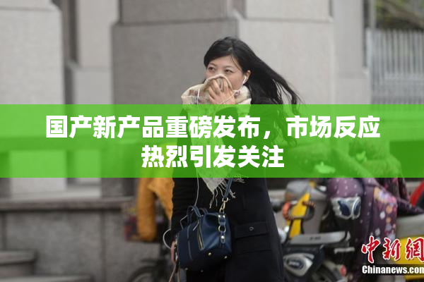 国产新产品重磅发布，市场反应热烈引发关注