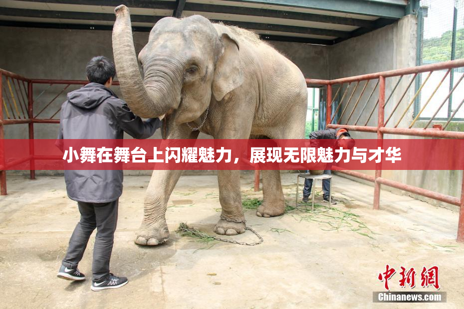 小舞在舞台上闪耀魅力，展现无限魅力与才华