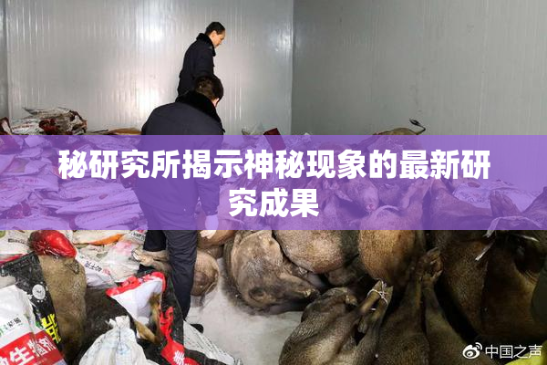 秘研究所揭示神秘现象的最新研究成果