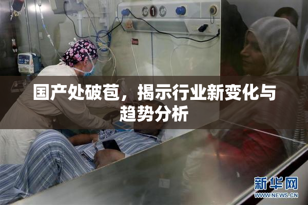 国产处破苞，揭示行业新变化与趋势分析