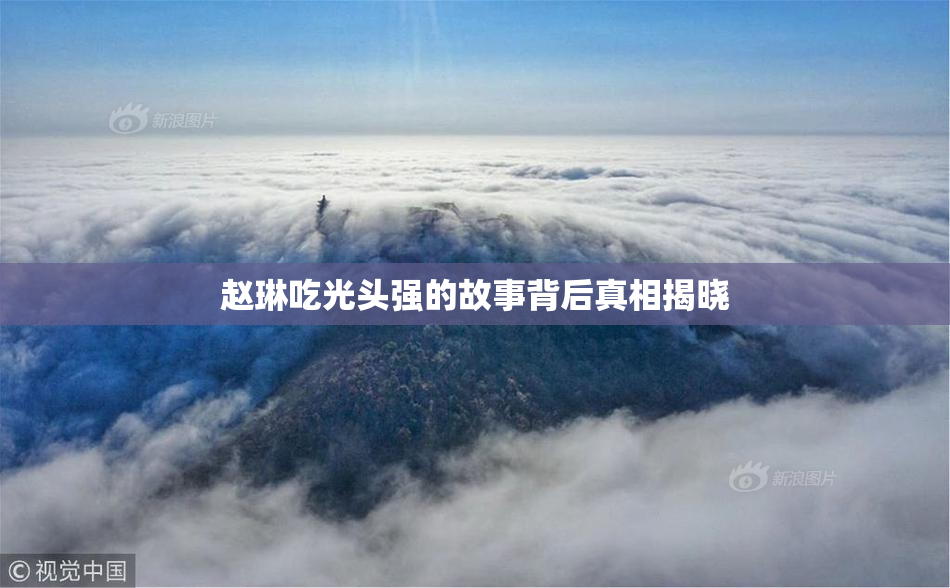 赵琳吃光头强的故事背后真相揭晓