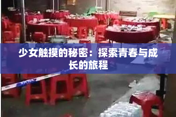 少女触摸的秘密：探索青春与成长的旅程