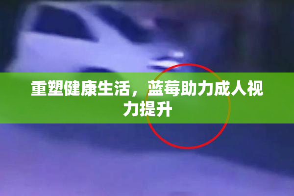 重塑健康生活，蓝莓助力成人视力提升