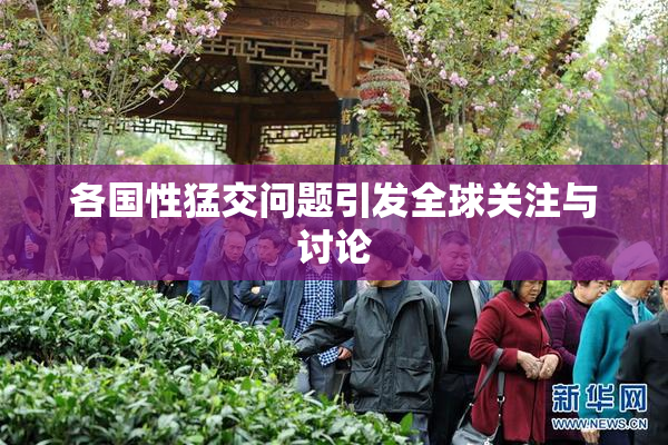 各国性猛交问题引发全球关注与讨论