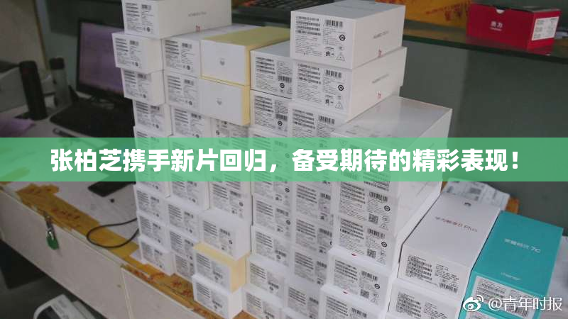张柏芝携手新片回归，备受期待的精彩表现！
