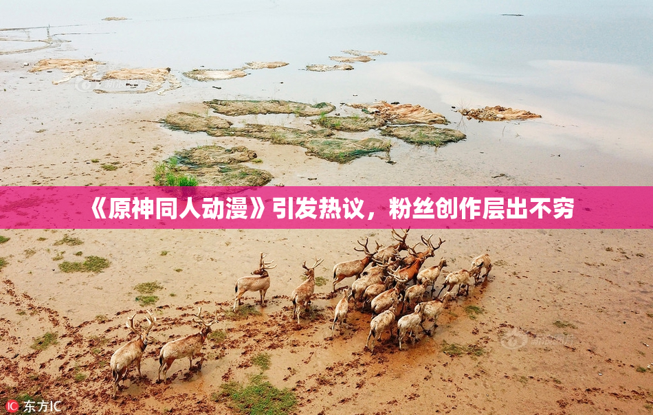 《原神同人动漫》引发热议，粉丝创作层出不穷