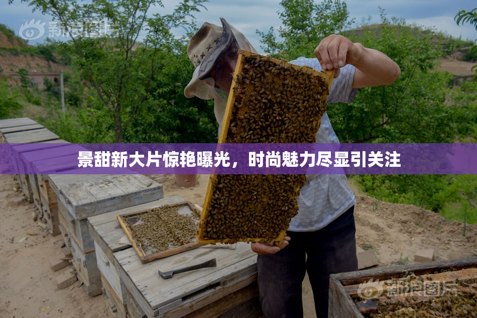景甜新大片惊艳曝光，时尚魅力尽显引关注