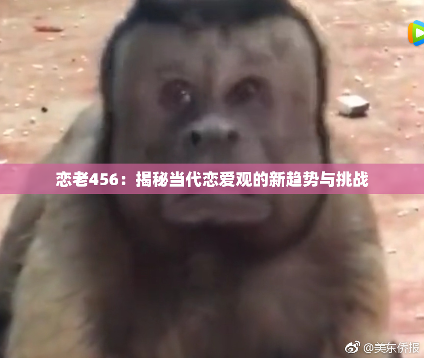 恋老456：揭秘当代恋爱观的新趋势与挑战