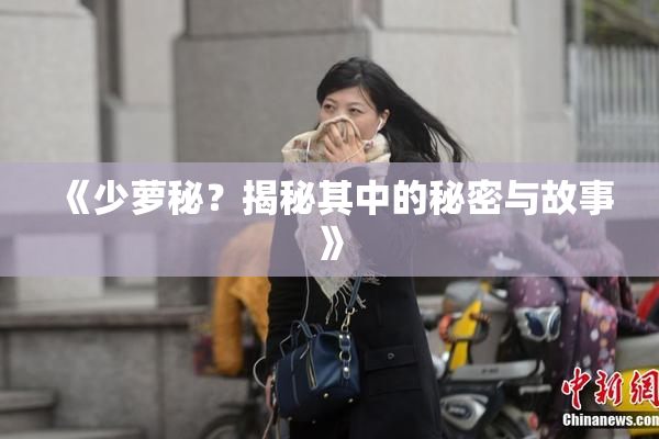 《少萝秘？揭秘其中的秘密与故事》