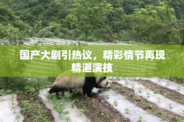 国产大剧引热议，精彩情节再现精湛演技