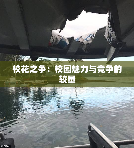 校花之争：校园魅力与竞争的较量