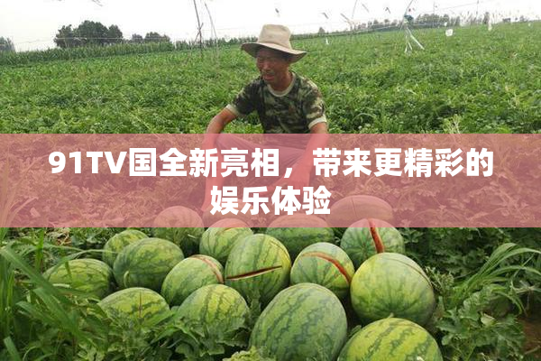 91TV国全新亮相，带来更精彩的娱乐体验