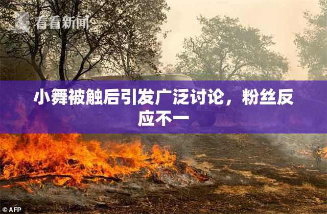 小舞被触后引发广泛讨论，粉丝反应不一