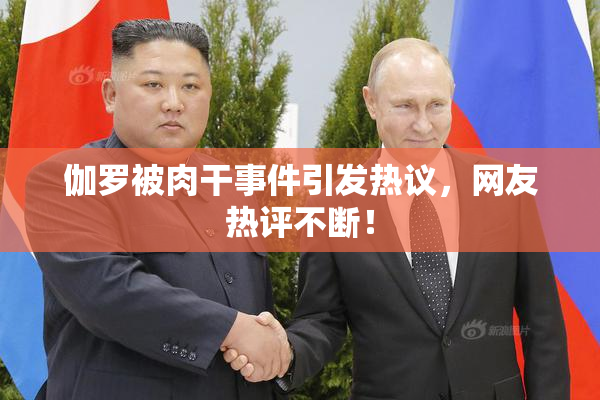 伽罗被肉干事件引发热议，网友热评不断！