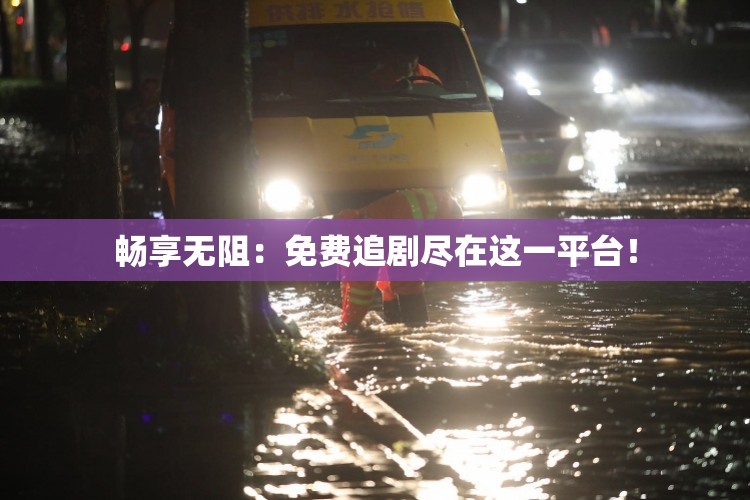 畅享无阻：免费追剧尽在这一平台！