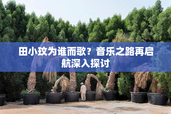 田小玟为谁而歌？音乐之路再启航深入探讨