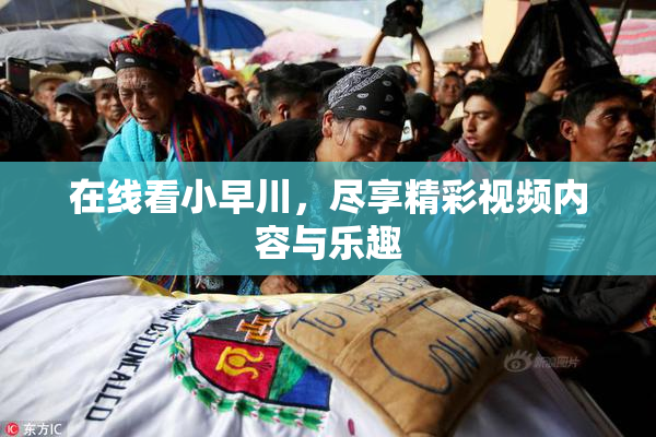 在线看小早川，尽享精彩视频内容与乐趣