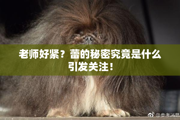 老师好紧？蕾的秘密究竟是什么引发关注！