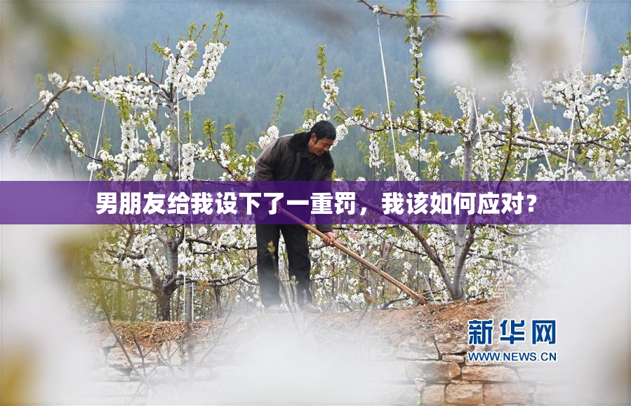 男朋友给我设下了一重罚，我该如何应对？
