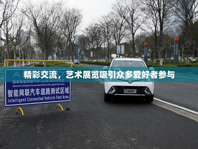 精彩交流，艺术展览吸引众多爱好者参与