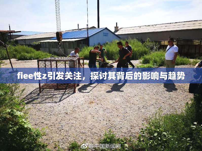 fiee性z引发关注，探讨其背后的影响与趋势