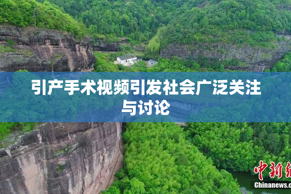 引产手术视频引发社会广泛关注与讨论