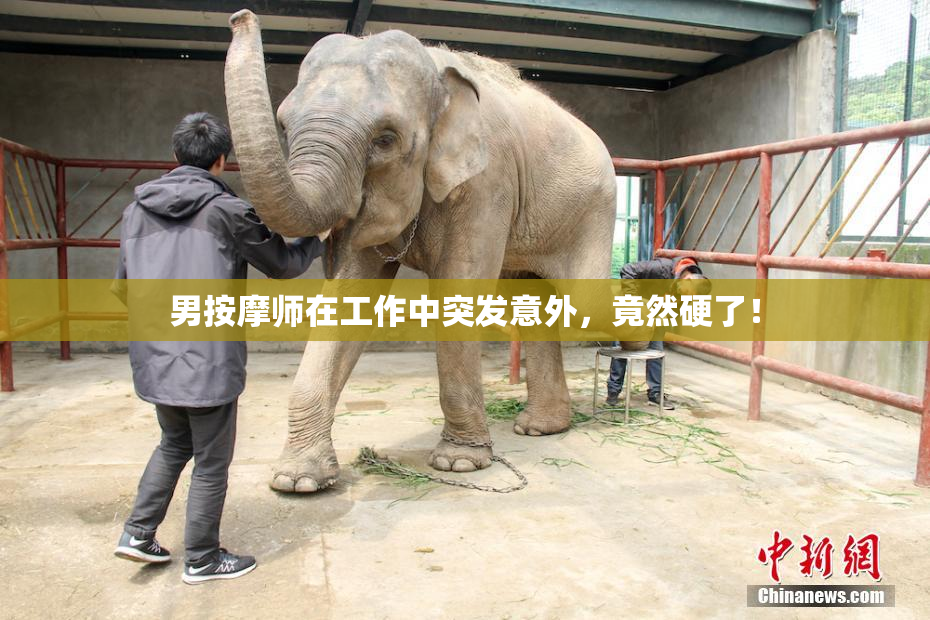 男按摩师在工作中突发意外，竟然硬了！