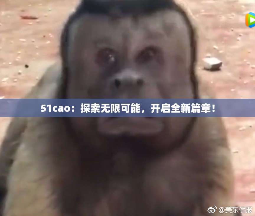 51cao：探索无限可能，开启全新篇章！
