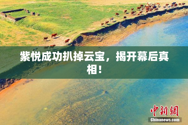 紫悦成功扒掉云宝，揭开幕后真相！