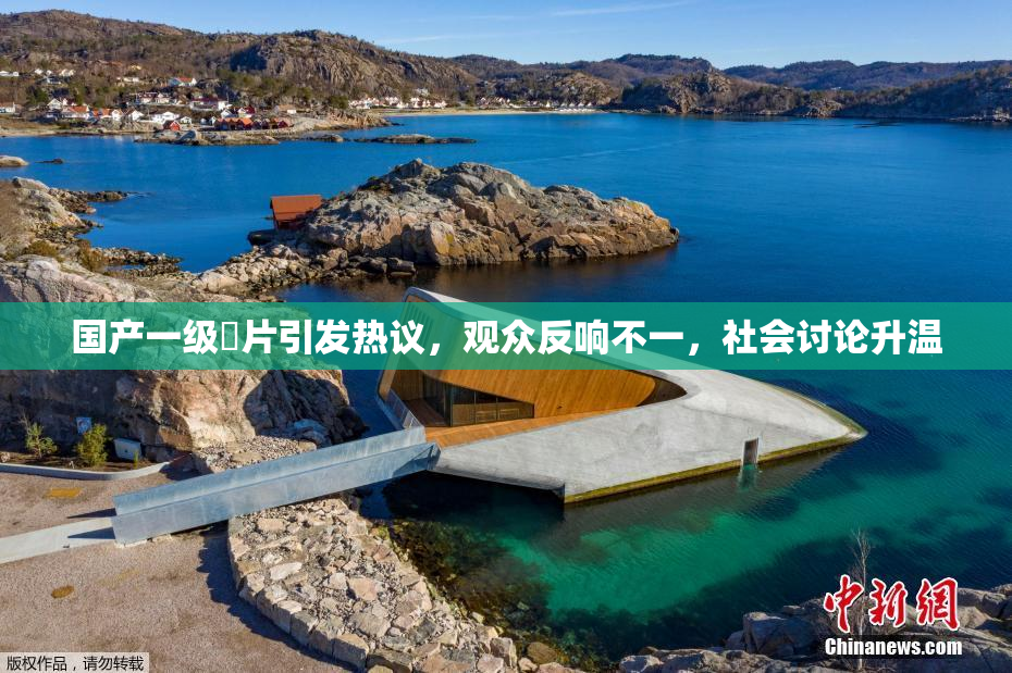 国产一级婬片引发热议，观众反响不一，社会讨论升温