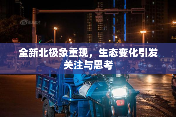 全新北极象重现，生态变化引发关注与思考
