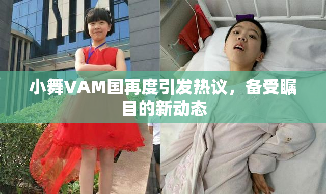 小舞VAM国再度引发热议，备受瞩目的新动态