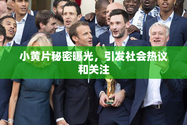 小黄片秘密曝光，引发社会热议和关注